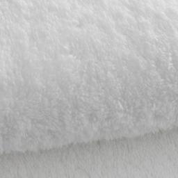 the buccal [4 pack series]